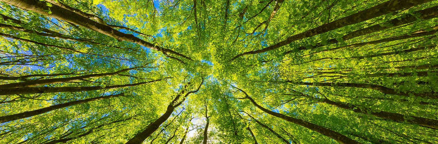 浙江泽克新材料科技有限公司。