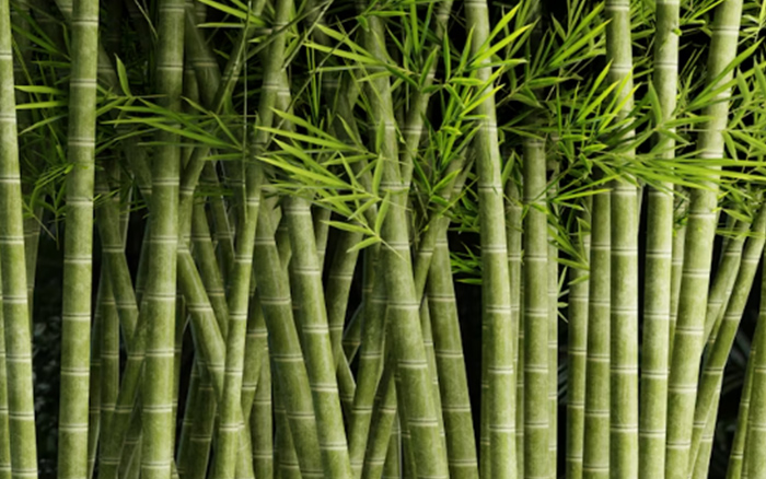 浙江泽克新材料科技有限公司。